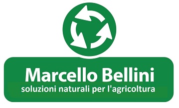 Staff Marcello Bellini srl